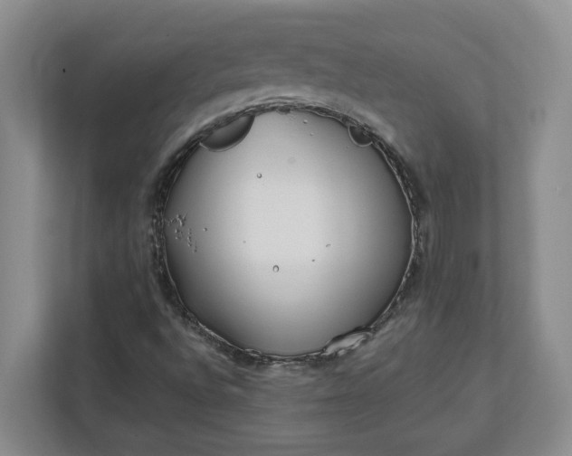 X0000112391496200908271329