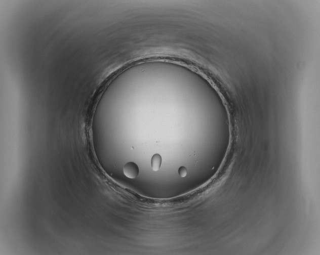 X0000112391497200908271329