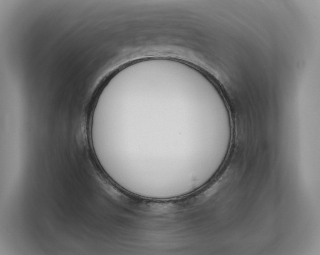 X0000112391498200908271329