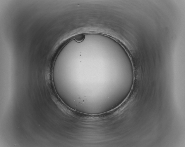 X0000112391499200908271329