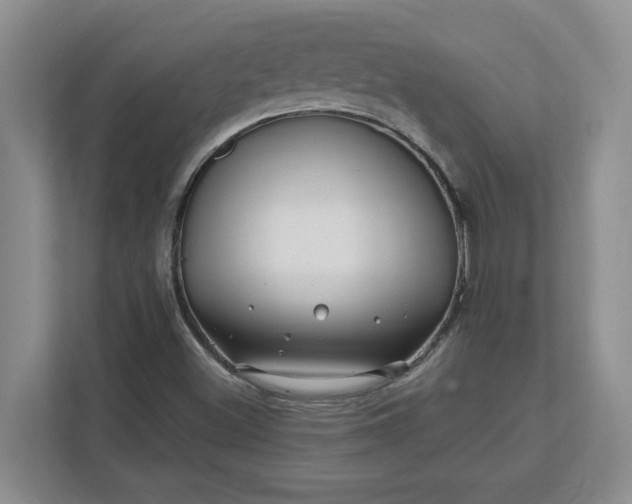 X0000112391500200908271329