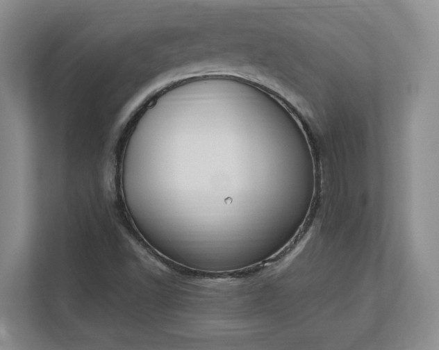 X0000112391502200908271329