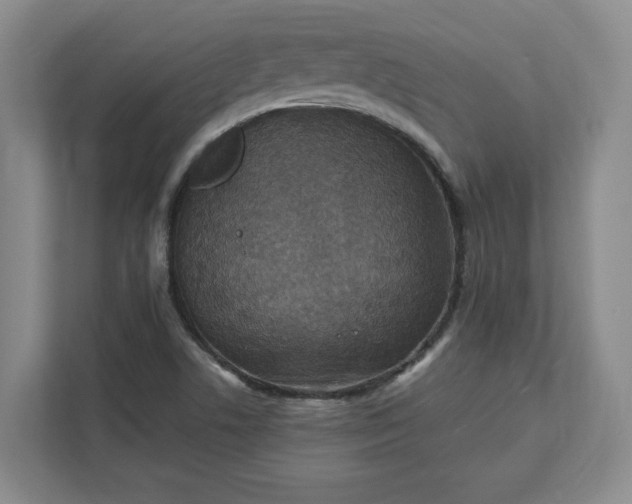 X0000112391506200908271329