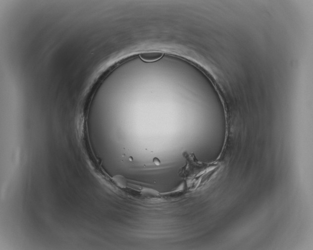 X0000112391507200908271329