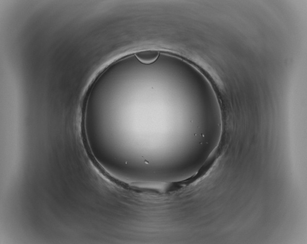 X0000112391508200908271329