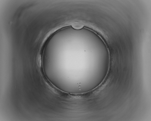 X0000112391509200908271329