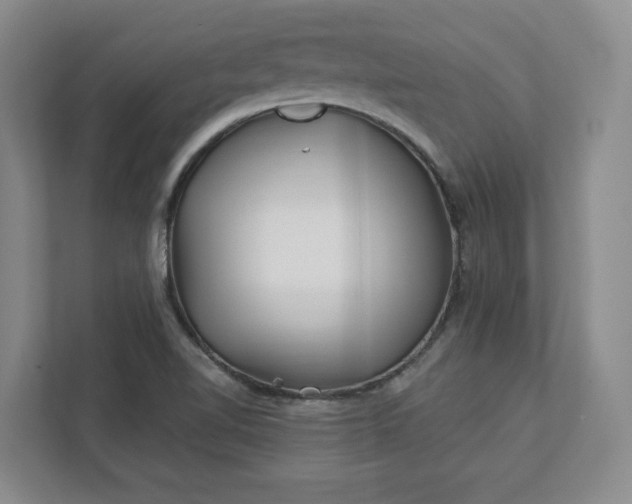 X0000112391510200908271329