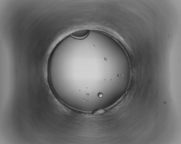 X0000112391512200908271329