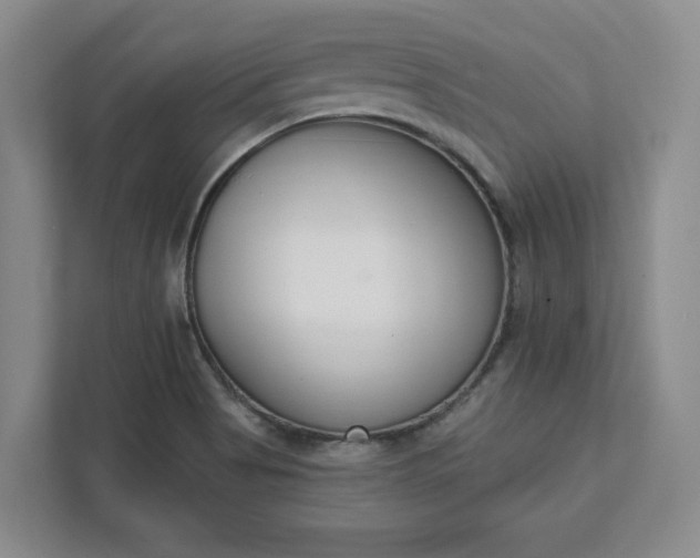 X0000112391513200908271329