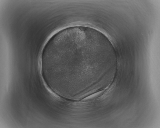 X0000112391515200908271329