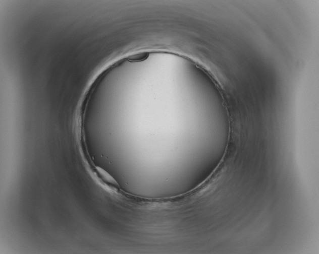 X0000112391519200908271329