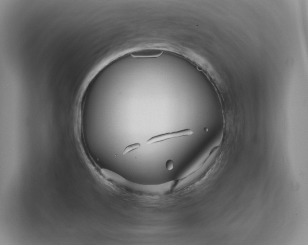 X0000112391520200908271329