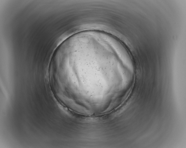 X0000112391521200908271329