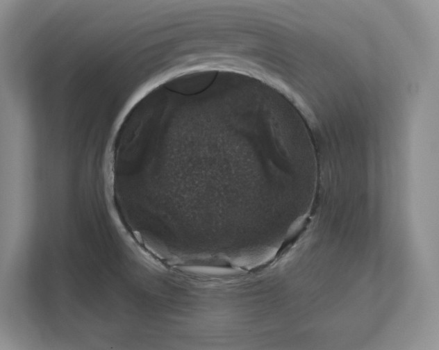 X0000112391522200908271329