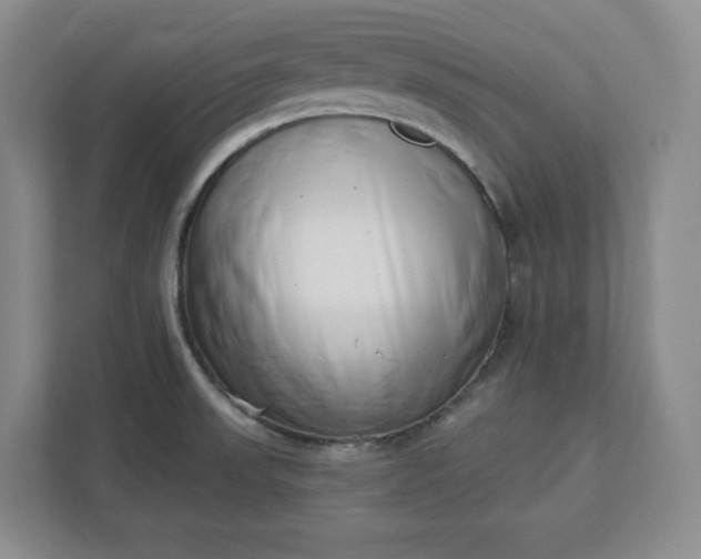 X0000112391523200908271329