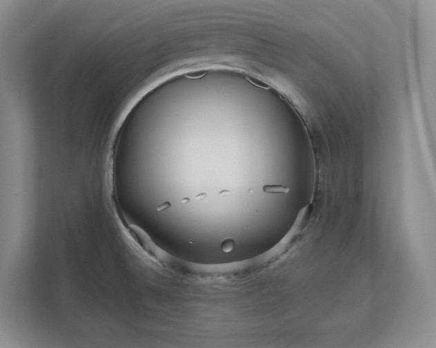 X0000112391524200908271329