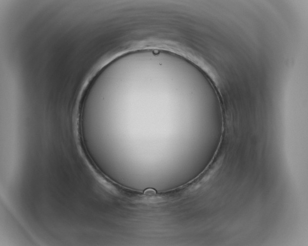 X0000112391525200908271329