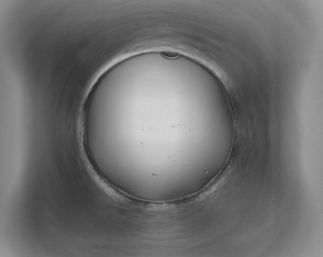 X0000112391526200908271329