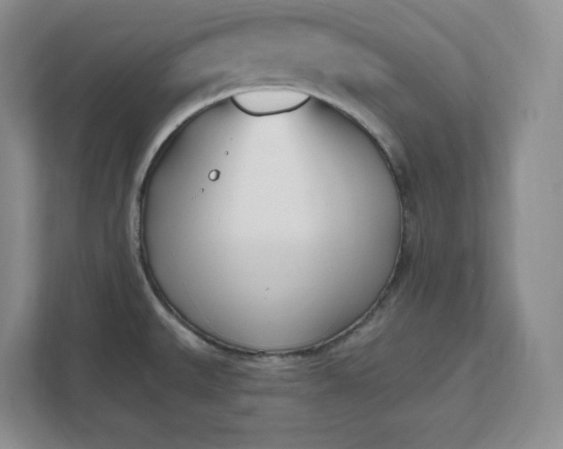 X0000112391527200908271329