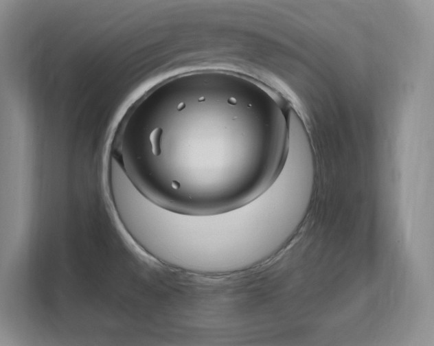 X0000112391528200908271329