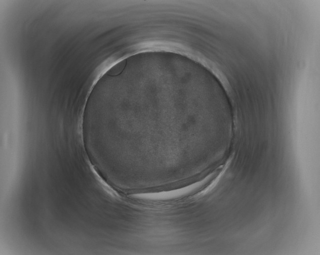 X0000112391529200908271329