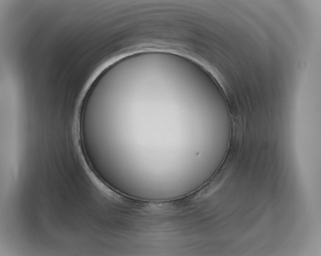 X0000112391531200908271330