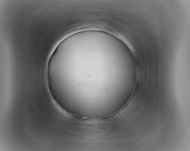 X0000112391532200908271330