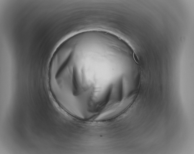 X0000112391534200908271330