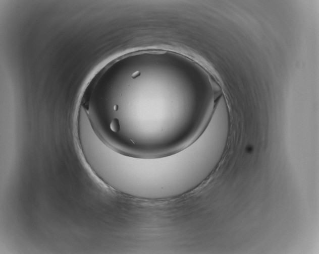 X0000112391536200908271330