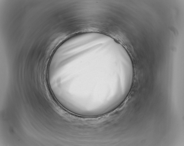X0000112390001200909032023