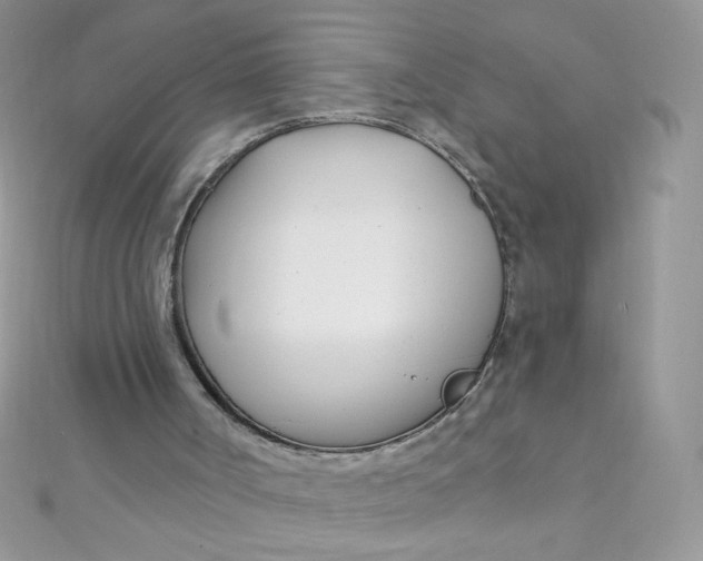 X0000112390002200909032023