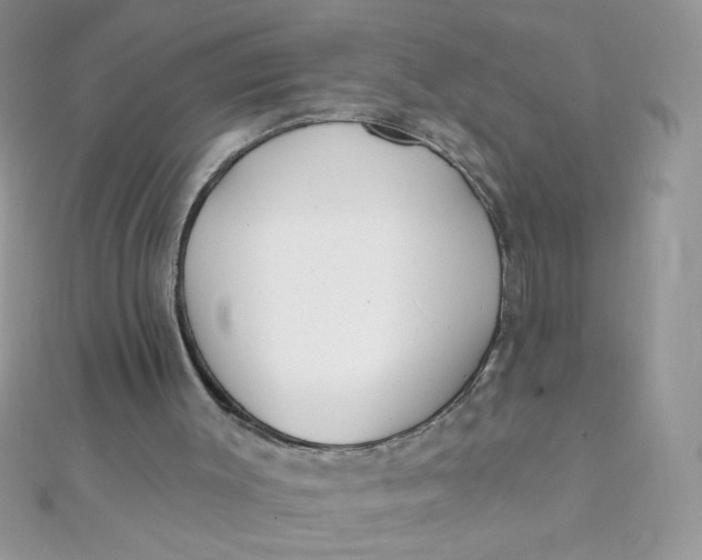 X0000112390003200909032023