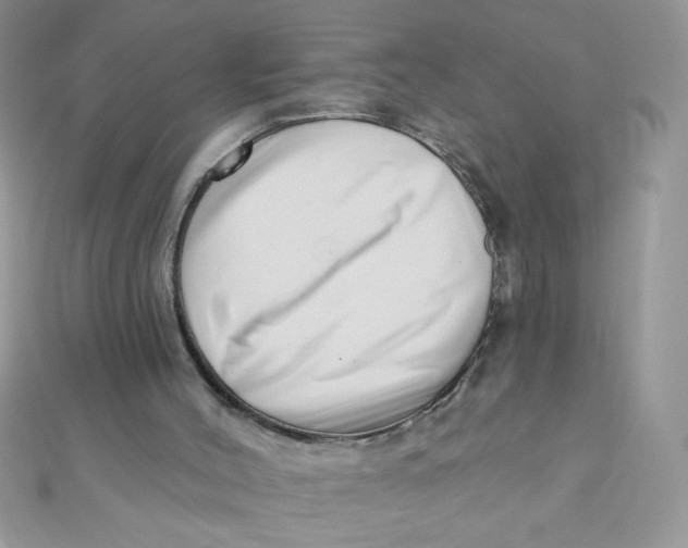 X0000112390004200909032023