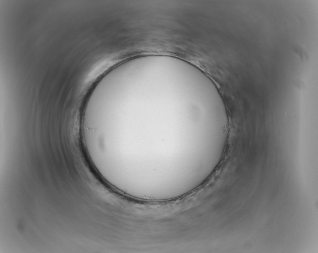 X0000112390005200909032023