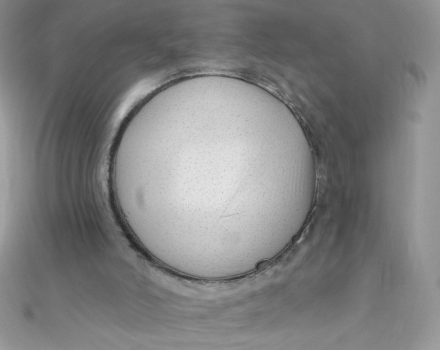 X0000112390006200909032023