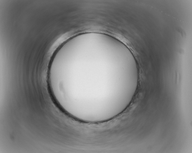 X0000112390007200909032023