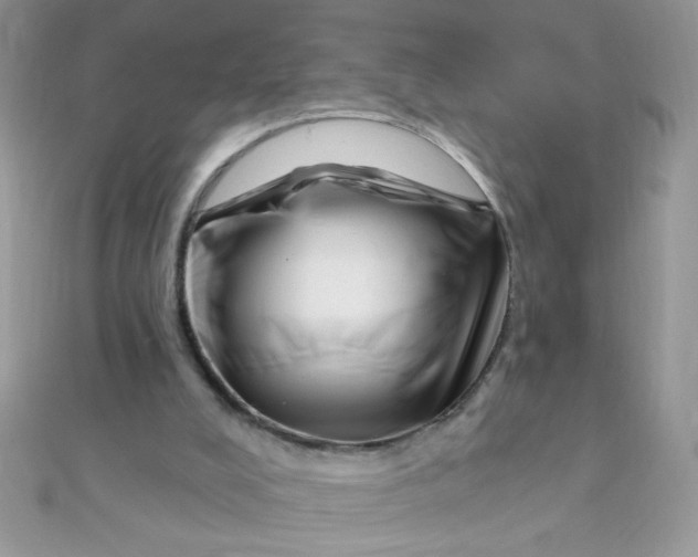 X0000112390008200909032023