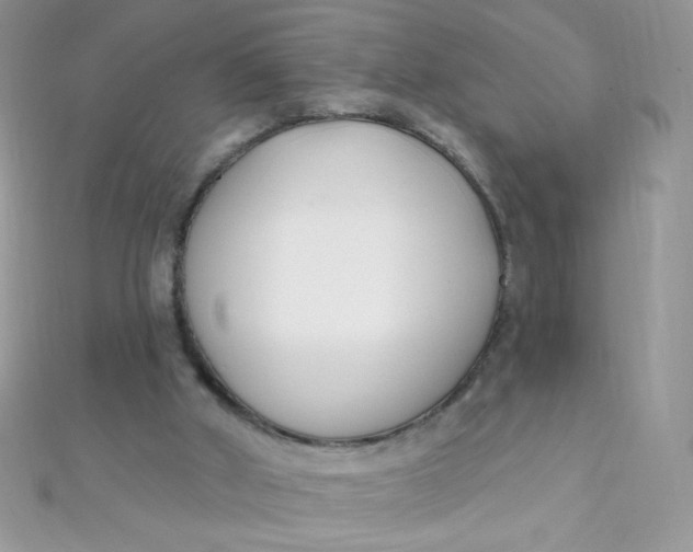 X0000112390010200909032023