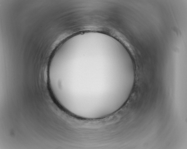 X0000112390011200909032023