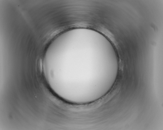 X0000112390013200909032023