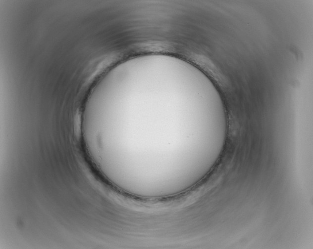 X0000112390014200909032023