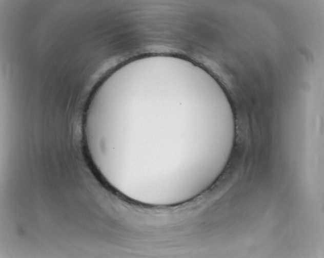 X0000112390015200909032023