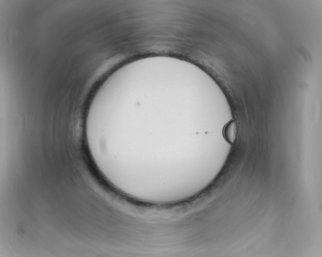 X0000112390016200909032023