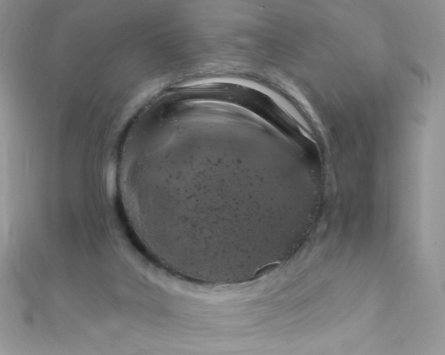 X0000112390019200909032023