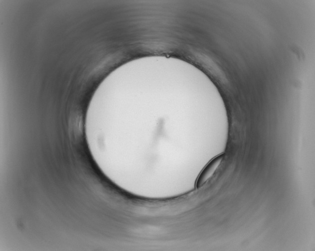 X0000112390021200909032023