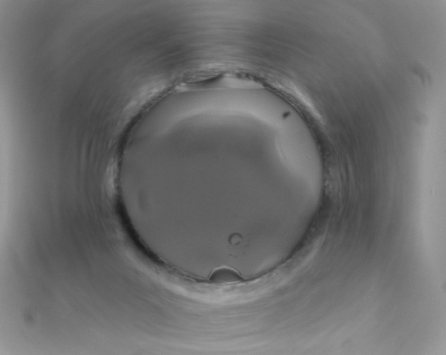 X0000112390023200909032023
