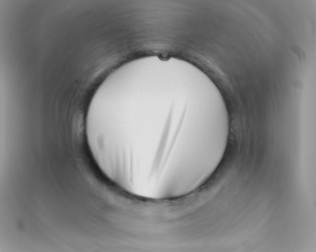 X0000112390024200909032023