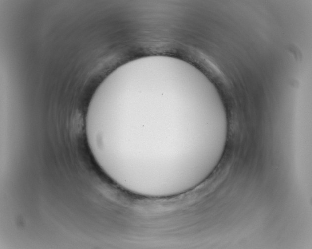 X0000112390025200909032023