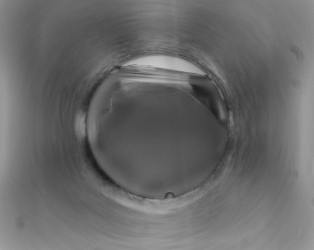 X0000112390027200909032023
