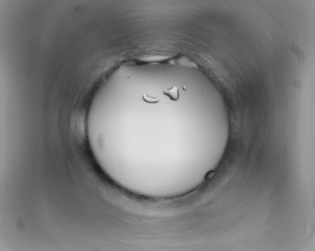 X0000112390028200909032023